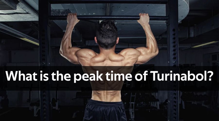 turinabol before and after